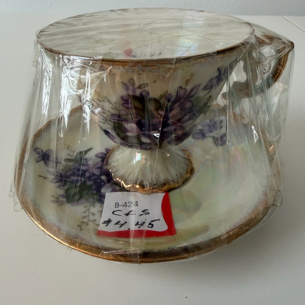Vintage Violet Teacup and Saucer Set